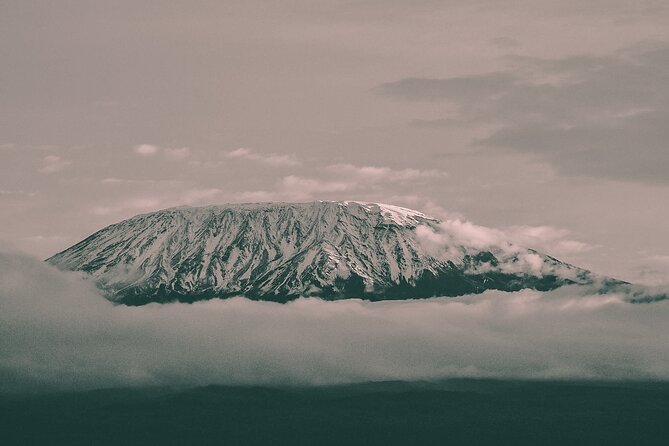 6 Days Mount Kilimanjaro Climbing via Rongai Route - Day 2: Moorland Climbing, Kibo Glimpses, and Temperature Drop
