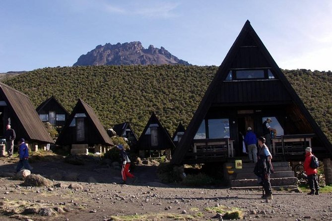 6 Days Mount Kilimanjaro Trek Marangu Route - Day 4: The long push to Kibo Hut via Last Water and the saddle