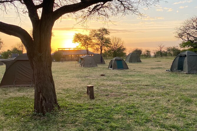 6 Days Private Budget Safari - Meals Included and How the Lunch Stops Keep You Comfortable
