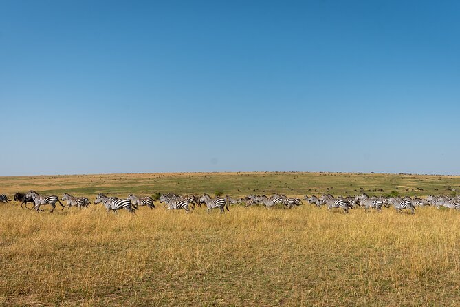 6 Days Private Safari Tour - Day 4 Ngorongoro Conservation Area: half-day game drive then overnight prep