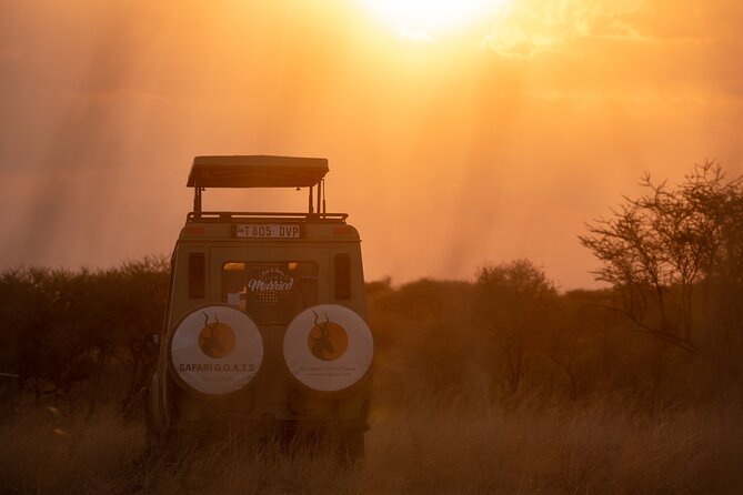 6 Days Private Safari Tour - Day 1 Tarangire National Park: elephants, dry-season vibes, and optional stops