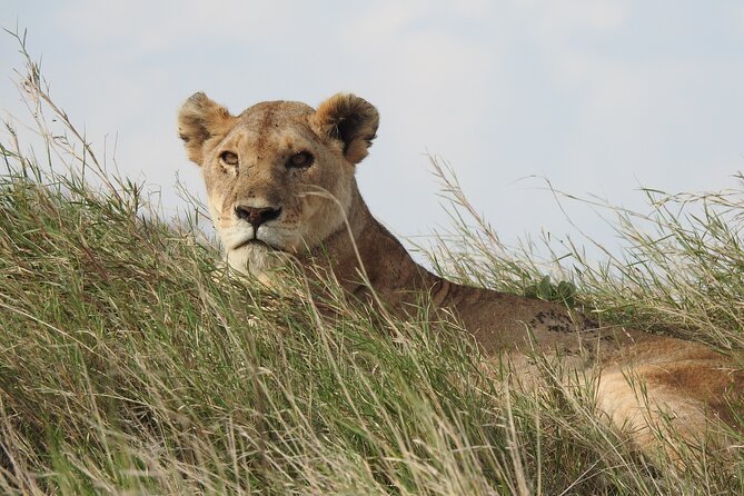 6 Days Private Safari with Mid-range Lodges or Camps - Mid-Range Lodges and Camps, What You’re Paying For