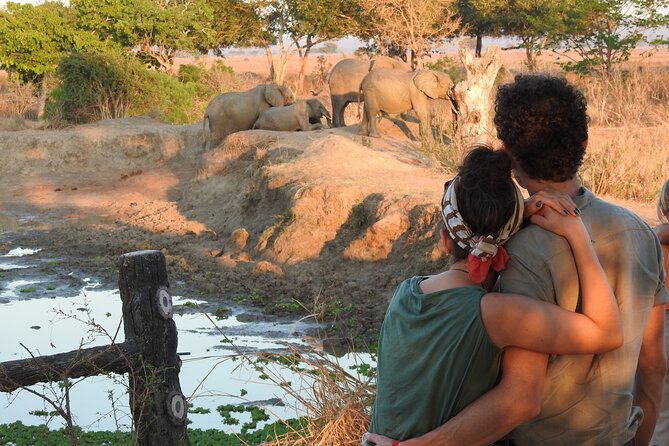 6 Days Private Safari with Mid-range Lodges or Camps - The Guides: Why People Mention Gabriel, Kabila, Godfrey, Amoc, and Gabbi Amous Joseph