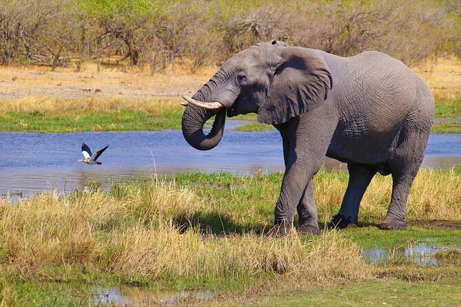 6 Days Safari : Manyara, Ngorongoro, Serengeti & Tarangire National Park - A second Serengeti day with Embalakai Camp by the Nyabogati River