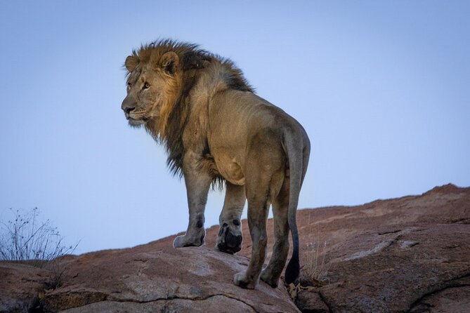 6 Days Safari : Manyara, Ngorongoro, Serengeti & Tarangire National Park - Tarangire National Park, dry-season water drama and the Sangaiwe entrance