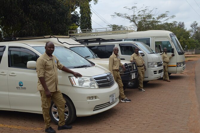 6 Days Safari : Manyara, Ngorongoro, Serengeti & Tarangire National Park - Final morning game drives and the return to Moshi, closing the loop
