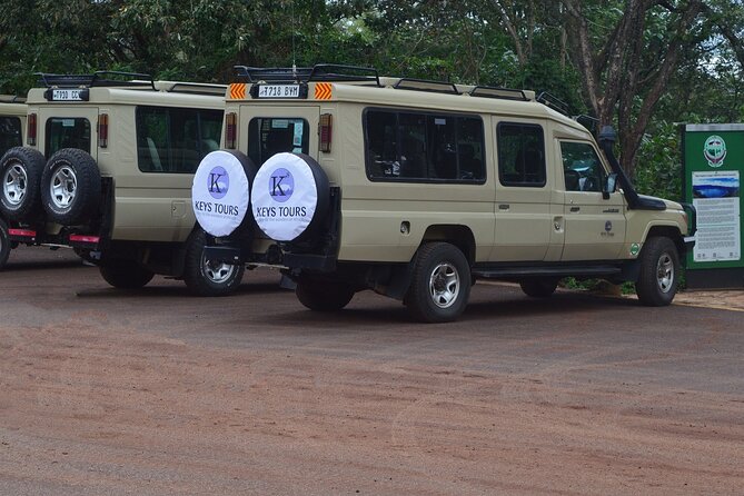 6 Days Safari : Manyara, Ngorongoro, Serengeti & Tarangire National Park - Ngorongoro Conservation Area and the crater descent, 600 meters of wow factor