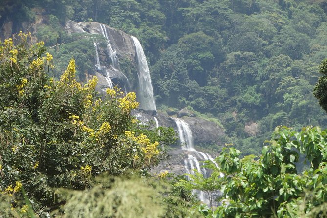 6 Days Safari to Udzungwa Mountain NP, Ruaha NP and Mikumi NP - Key highlights worth your attention
