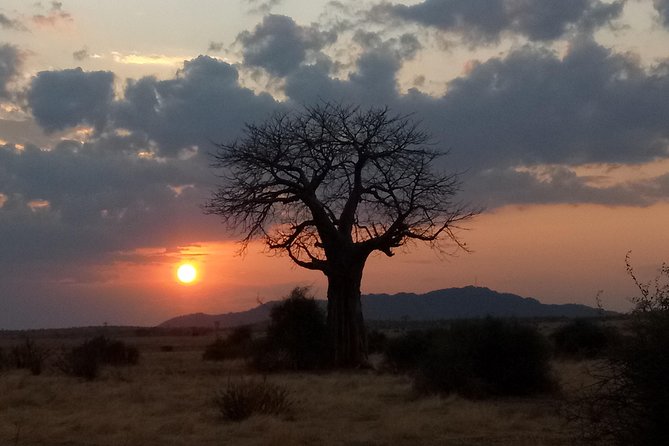 6 Days Safari to Udzungwa Mountain NP, Ruaha NP and Mikumi NP - Day 6 Back to Dar es Salaam: A Final Drive, Then Real Life