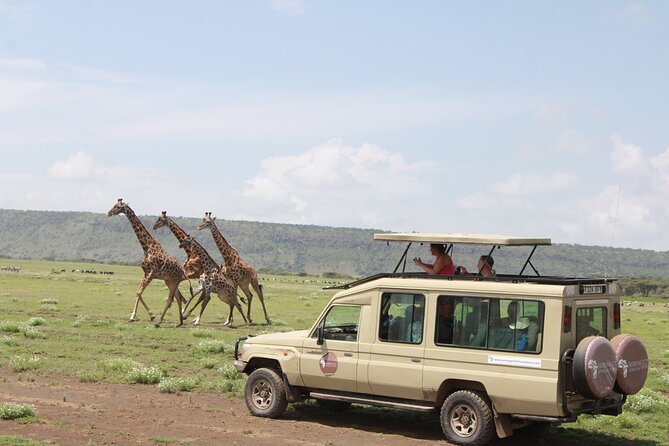 6 Days Serengeti Safari(hiking waterfalls &coffee tour) - Serengeti Two-Day Plan: Better Chances Than One Long Drive