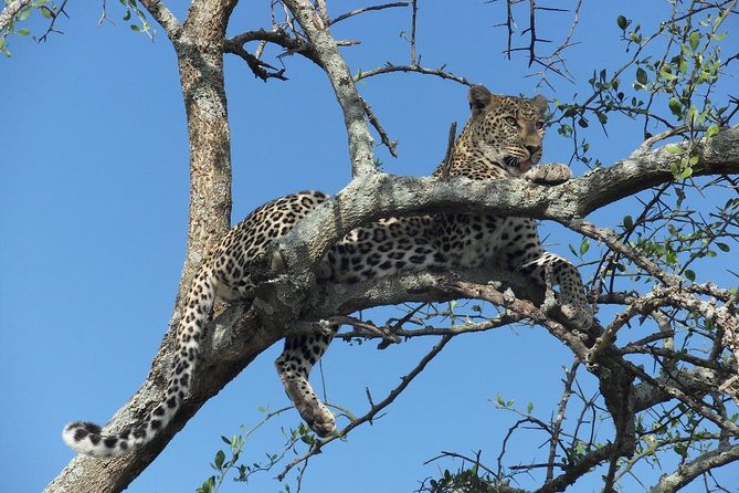 6 Days Serengeti Wildebeest Migration Safari - Key points before you go