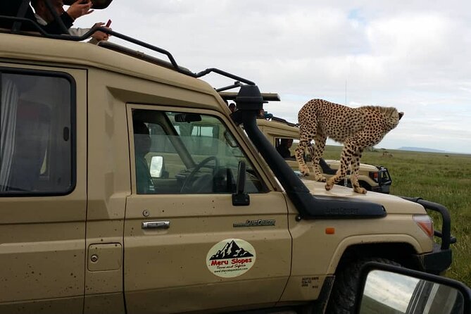 6 Days Tanzania Budget Camping Safari - Accommodation, Food, Water, and the Reality of Budget Camping