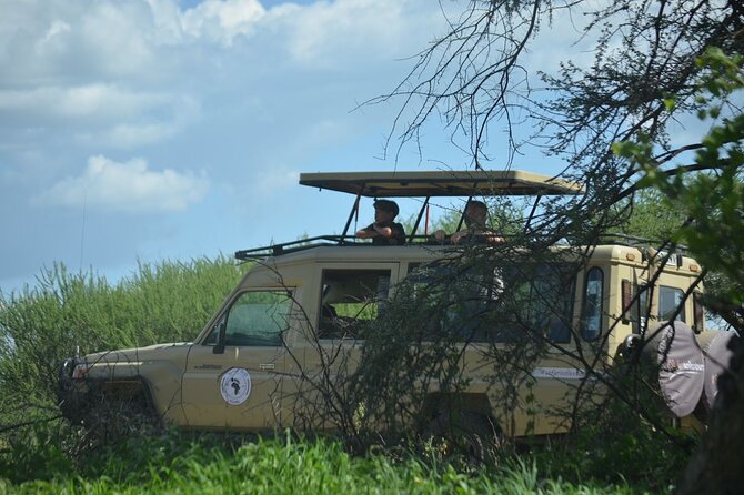 6 days Tanzania budget safari - Six-Person Jeps, Real Spotting Time, and Why It Matters