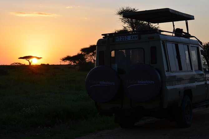 6 days Tanzania budget safari - Day 2: Ngorongoro Viewpoints, Optional Maasai Village, and Serengeti Sunset