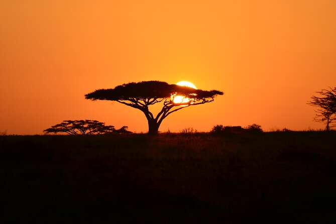6 days Tanzania budget safari - Day 5: Ngorongoro Descent for Black Rhino Odds