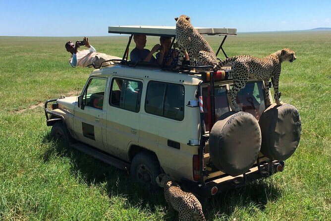 6 Days Tanzania Bush Experience Safari - Day 6: Tarangire National Park, elephant-heavy river watching and a smooth finish
