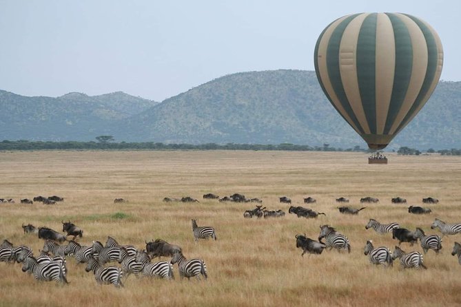 6 Days Tanzania Classic Safari - Day 1: Arrival in Arusha, dinner at Elewana Arusha Coffee Lodge, and your safari briefing