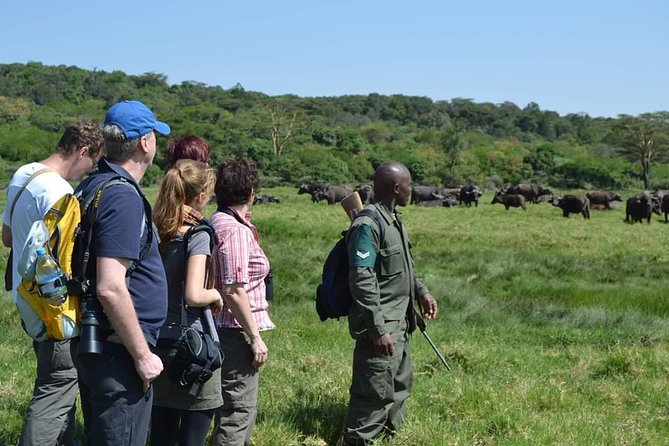 6 Days Tanzania Luxury Safari Tour - Why This Arusha Start Makes Sense for a 6-Day Safari