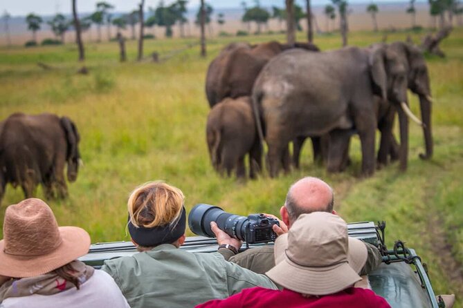 6 Days Tanzania Northern Circuit Safari - Day 3 Northern Serengeti: Learning The Rhythm