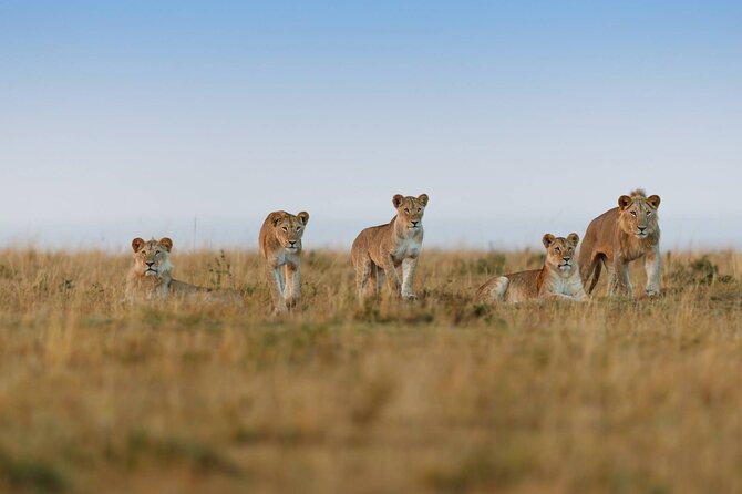6 Days Tanzania Northern Circuit Safari - Price And Logistics: Does $5,200 Per Person Add Up?