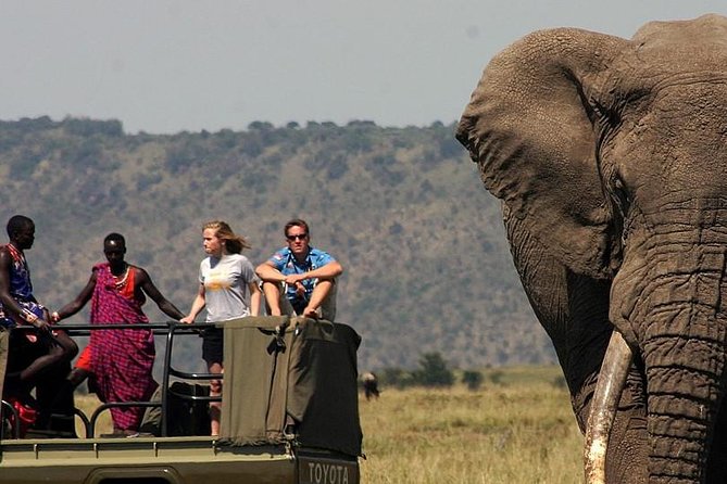 6 Days Tanzania Wildlife Camping Safari - The camping safari concept: outdoors sleep, real wildlife time