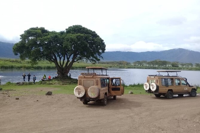 6 Days Tanzania Wildlife Camping Safari - Lake Manyara: a rim-view start to your wildlife week