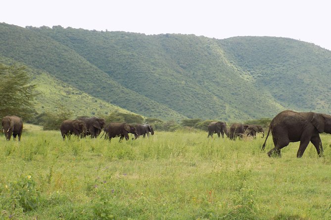 6 Days Tanzania Wildlife Safari Tour - Day 2 at Lake Manyara: a shorter transfer gives you breathing room