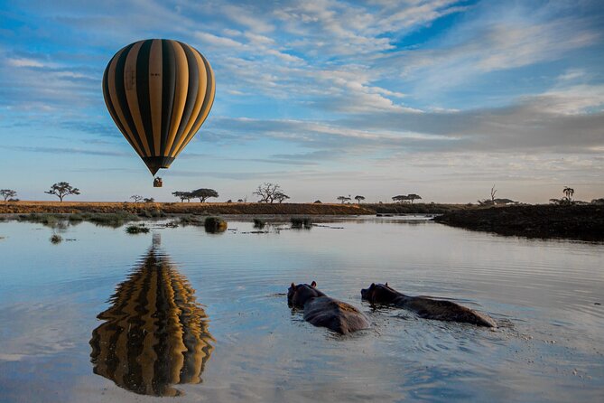 6 Days Tarangire, Serengeti, Ngorongoro & Manyara Joining Tour - North Circuit Safari, the Way It Should Feel