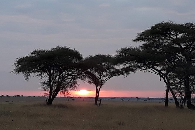 6 Days Tarangire,Serengeti, Ngorongoro & Manyara Mid-range Camping Safari Tour - Camping style on this “mid-range” route, what to expect day to day