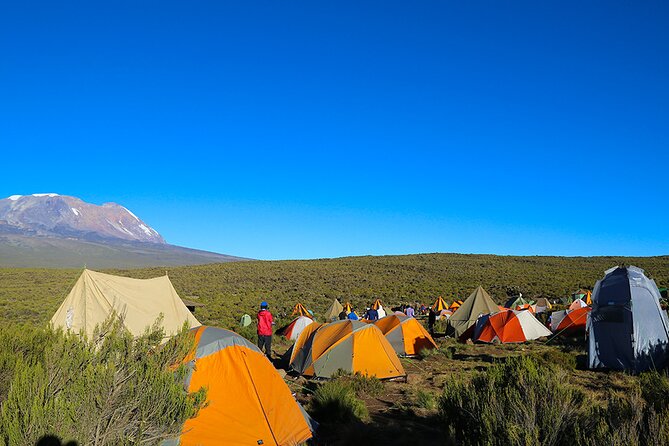 6 Days Trekking Marangu Route Mount Kilimanjaro - Before day one: timing, group size, and where the trek begins