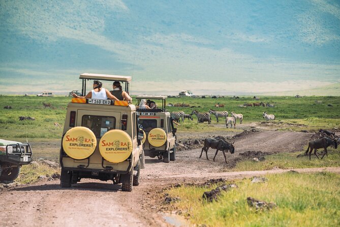 6-DayThe Best of Northern Tanzania Safari - From Kilimanjaro Airport to Arusha Lodging: start without stress