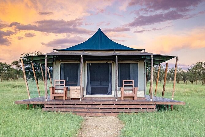 6-DayThe Best of Northern Tanzania Safari - Lake Manyara National Park: birds, baboons, and tree-climbing lions