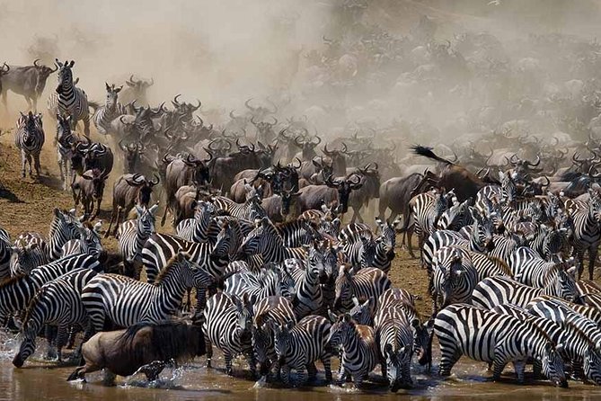 7 Day 6 nights Great Migration Classic Tanzania Safari - Key highlights you should care about