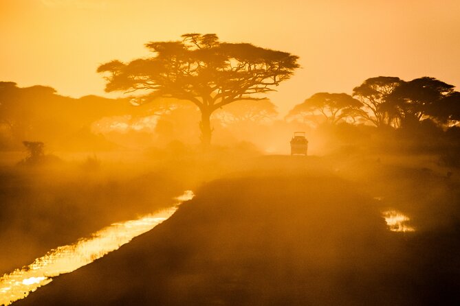 7 Day Grand Tanzania Safari - Camp comfort, meal reality, and what to expect day to day