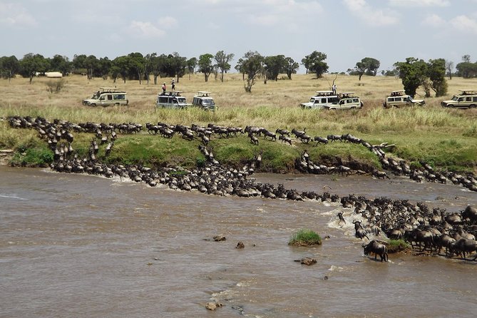 7-Day Great Migration Safari - The Northern Tanzania loop that fits a true safari mindset