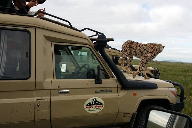 7-Day Group Camping Tarangire/Serengeti/Ngorongoro/lake Manyara - October to December Migration Timing, and Why It Changes Everything