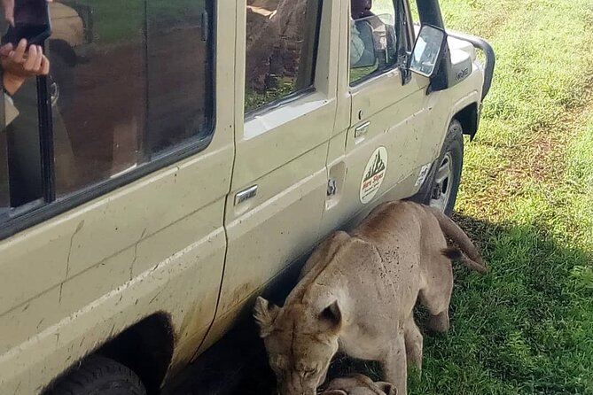 7-Day Group Camping Tarangire/Serengeti/Ngorongoro/lake Manyara - Ngorongoro Conservation Area: Big Five Crater Descent and Flamingo Time