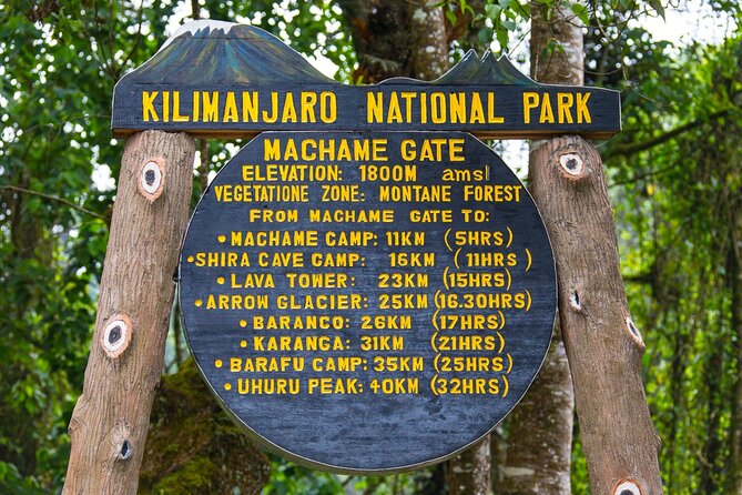 7-Day Guided Mount Kilimanjaro Climb by Machame Route - Machame Route, the Whiskey Route: why it is popular and why it is work