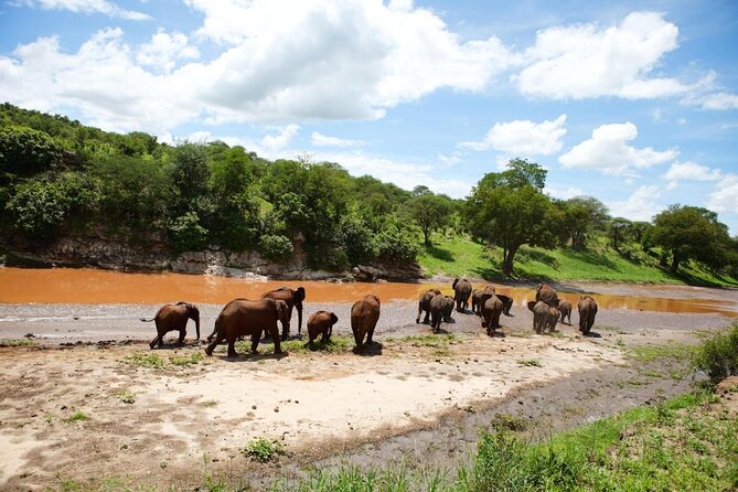 7 Day Joined Safari Serengeti,Ngorongoro,Manyara,Tarangire,Arusha National Park - What I think you should watch for before you book