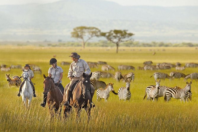 7 Day Joined Safari Serengeti,Ngorongoro,Manyara,Tarangire,Arusha National Park - Days 3 to 4 in Serengeti: half-day plus sunrise for better predator odds