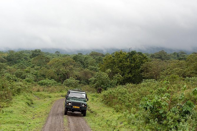 7 Day Joined Safari Serengeti,Ngorongoro,Manyara,Tarangire,Arusha National Park - Camping, lodges, and the comfort details that actually matter