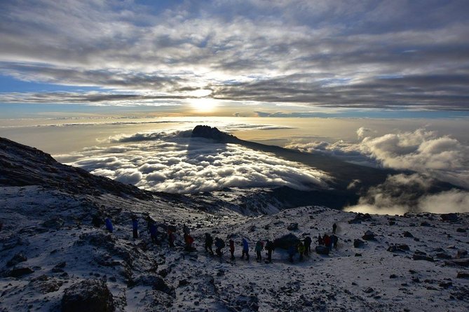 7-Day Kilimanjaro Climb–Lemosho R. Scenic Adventure to the summit - Key Highlights You’ll Care About