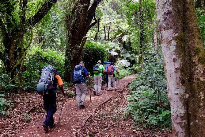 7-Day Kilimanjaro Climb–Lemosho R. Scenic Adventure to the summit - From Moshi to Londorossi Gate: Rainforest Entry and First Wildlife