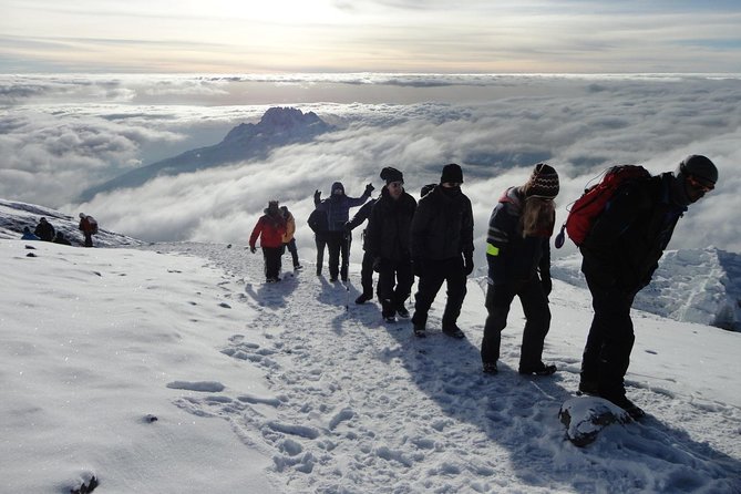 7-Day Kilimanjaro Climb–Lemosho R. Scenic Adventure to the summit - Lava Tower to Barranco Campsite: The Altitude Payoff