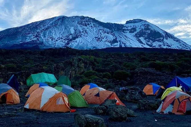 7-Day Kilimanjaro Climb Machame Route - Price and value: what you pay for on a 7-day climb