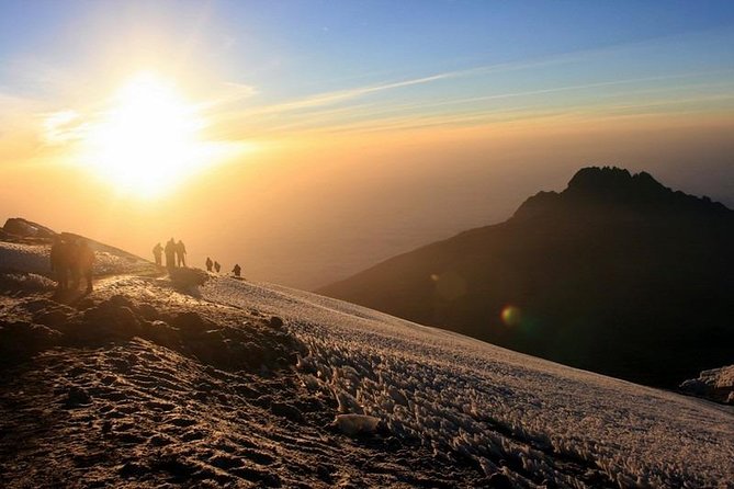 7-Day Kilimanjaro Climb Machame Route–The Best Path to Uhuru Peak - Why the Machame Route is a strong bet for Uhuru Peak