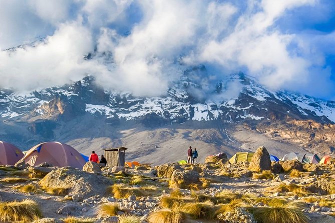 7-Day Kilimanjaro Climb Machame Route–The Best Path to Uhuru Peak - Crew, food, and camp comfort: the value you notice most