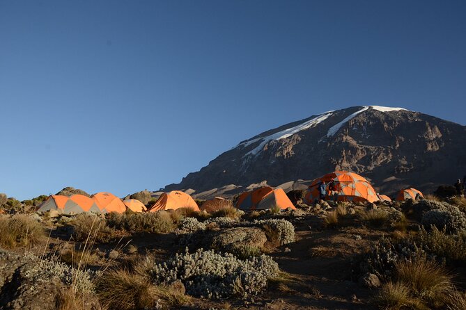 7-Day Kilimanjaro Hiking Tour via Machame Route - Key things to know before you go