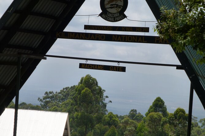 7 Day Kilimanjaro Machame climb - Machame’s appeal: popular, camping-based, and built for acclimatization