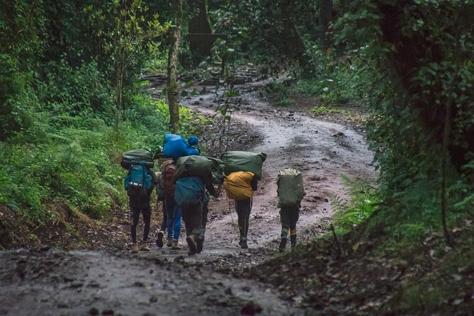 7 Day Kilimanjaro Machame climb - Camping life that keeps you moving (not suffering)
